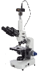 Compound microscope
